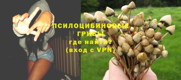 СК Алексин