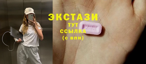 СК Алексин