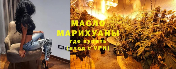 молекула духа Арсеньев